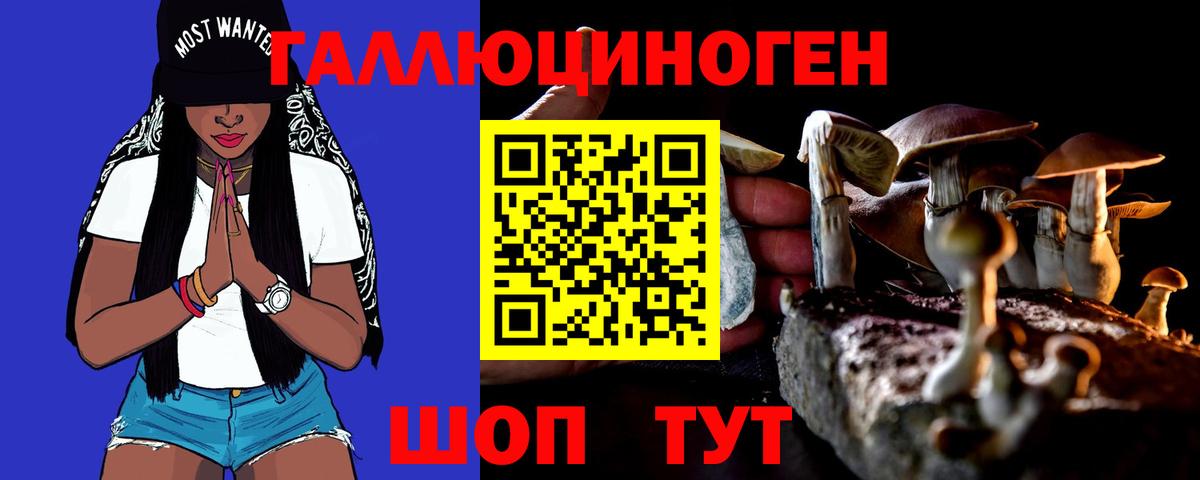 Псилоцибиновые грибы Cubensis Якутск