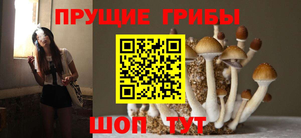 Галлюциногенные грибы GOLDEN TEACHER  Вход с VPN  Галлюциногенные грибы мухоморы  где купить наркоту  Якутск 